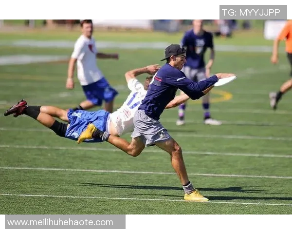 北京飞盘队力量表现数据分析揭示运动员潜力与团队协作的关键因素 北京飞盘队力量表现数据分析揭示运动员潜力与团队协作的关键因素