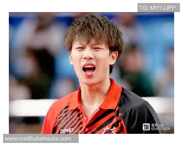 北京乒乓球队技术对比深度解析与发展趋势探讨