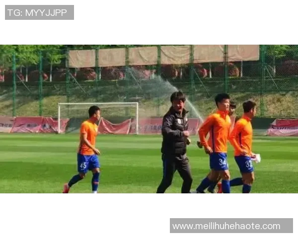 南京排球队的拼搏之路与挑战赛背后的感人故事